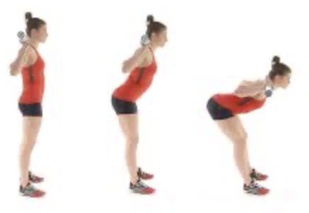 <p>Good mornings target muscle</p>