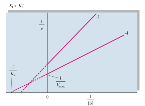 <ul><li><p>binding of inhibitor affects the binding of substrate and vice cersa</p></li><li><p>Km <strong>increases: doesn’t allow substrate to bind</strong></p></li><li><p>Vmax: <strong>decreases, can produce product</strong></p></li><li><p><strong>lines cross at left hang quadrant </strong></p></li></ul><p></p>
