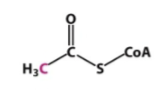 <p>what is the intermediate </p>