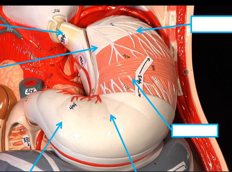 <p>upper right white box</p>