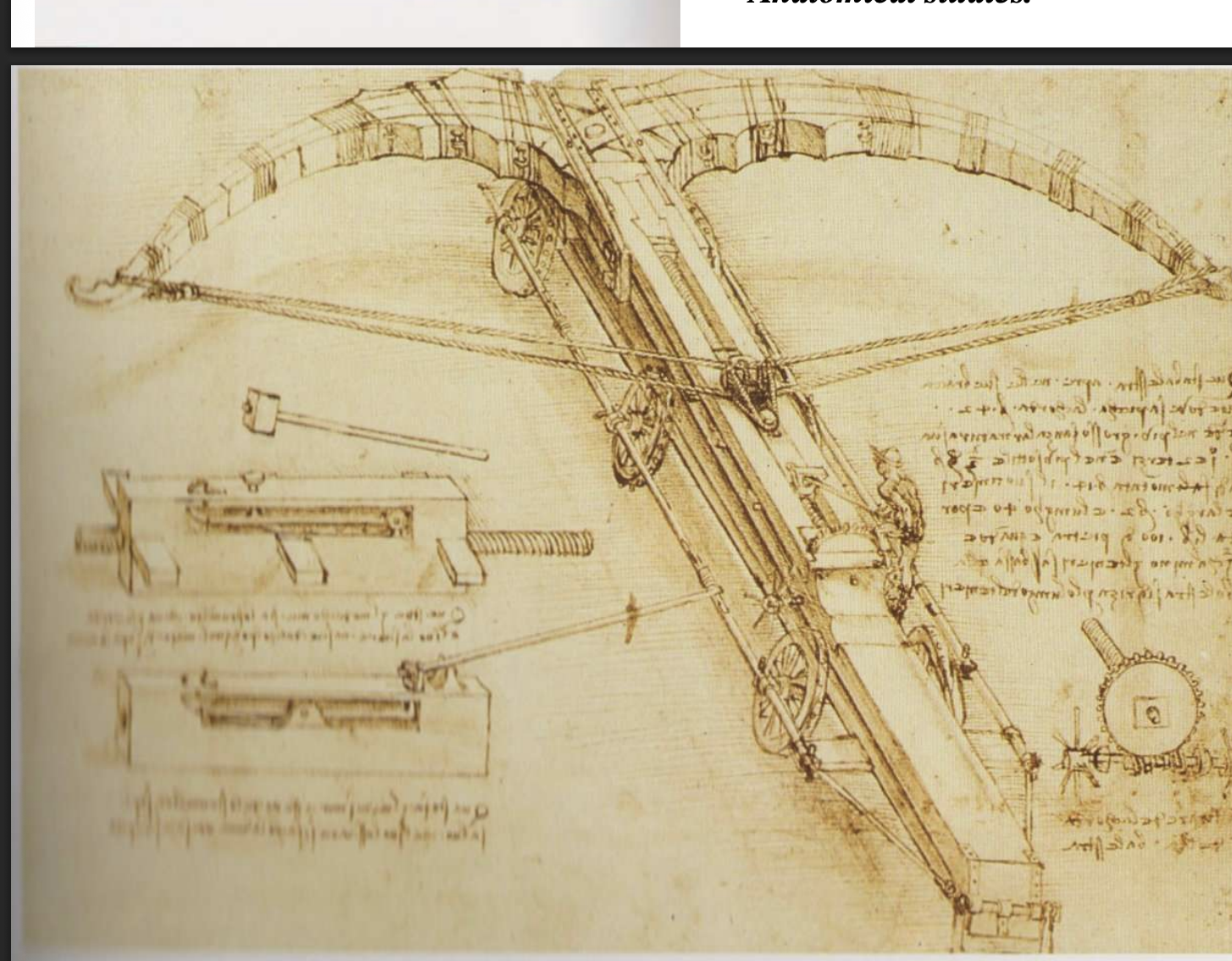 <p>Crossbow </p>