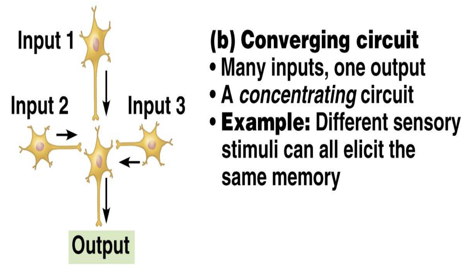 <p>What is the function of a converging circuit?</p>