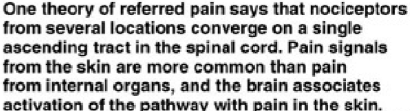 <p>Ruch, 1949</p><ul><li><p></p></li></ul><p></p>