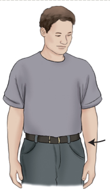 term image