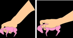 <p>This is typically done between 60-110 days of gestation, with a 71% success rate, but takes 1-3 weeks for the fetal heartbeat to stop</p>