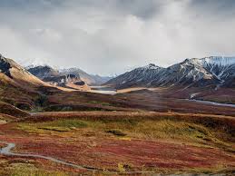 <p>Tundra biomes</p>