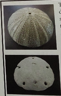 <p>what are these </p>