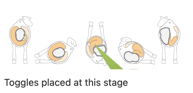 <ol><li><p>Gently cast cow into RIGHT lateral</p></li><li><p>Auscultate and ping the LDA to determine location</p></li><li><p>Rock into dorsal then LEFT lateral to help evacuate gas</p></li></ol><p></p><p>OR prolonged LEFT lateral recumbency (eg. tilt table for claw trimming) BUT care with radial nerve</p>