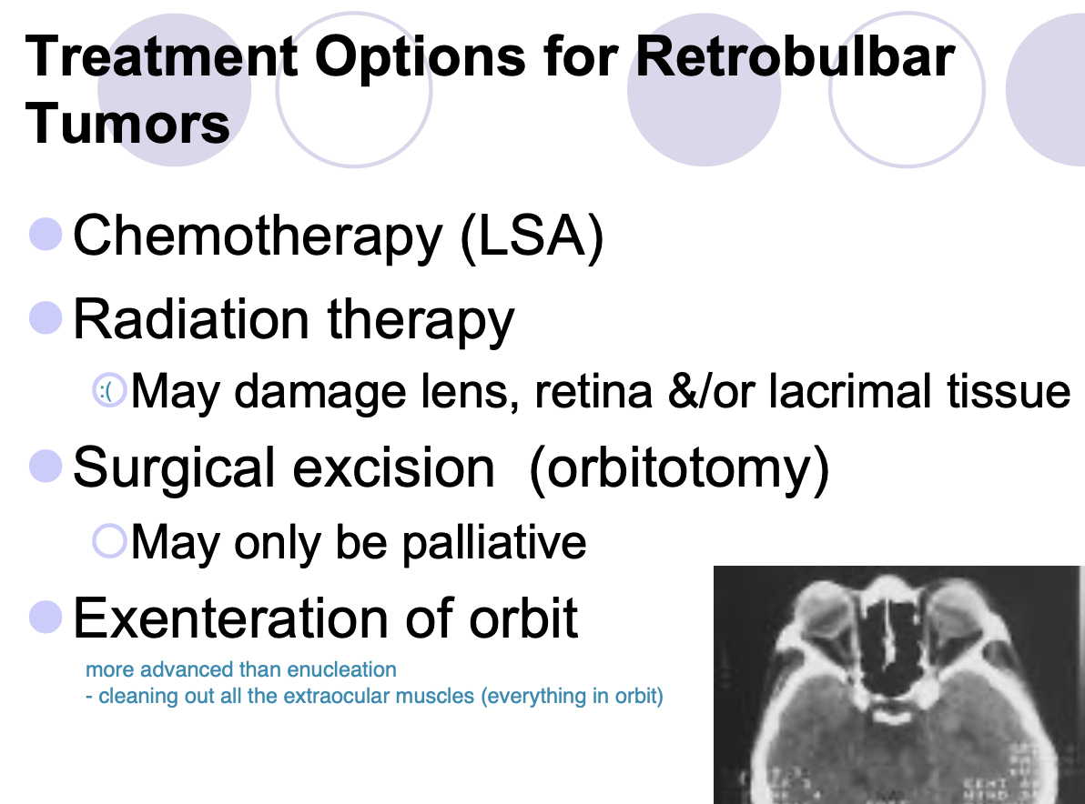 <p>Chemotherapy (LSA)</p><p>Radiation therapy (may damage lens, retina, lacrimal tissue)</p><p>Surgical excision (orbiotomy, may only be palliative)</p><p>Exenteration of orbit </p>