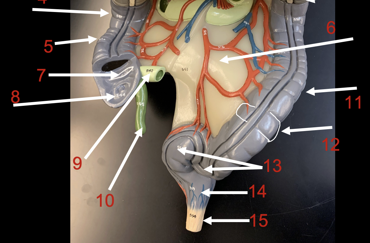 <p>ID 8,9,10,11,12,13,14,15</p>