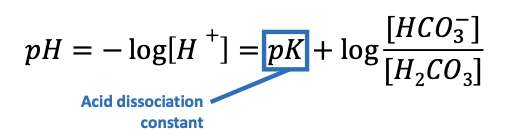 <p>What is the Henderson–Hasselbalch equation for bicarbonate?</p>