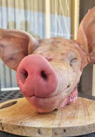 <p>shadow education secretary</p>