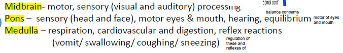 <p>midbrain - motor and sensory/vision processing, pons - motor of eyes and mouth sesnory of head and face hearing equilibrium, medulla - vital autonomic functions to live, reflexes</p>