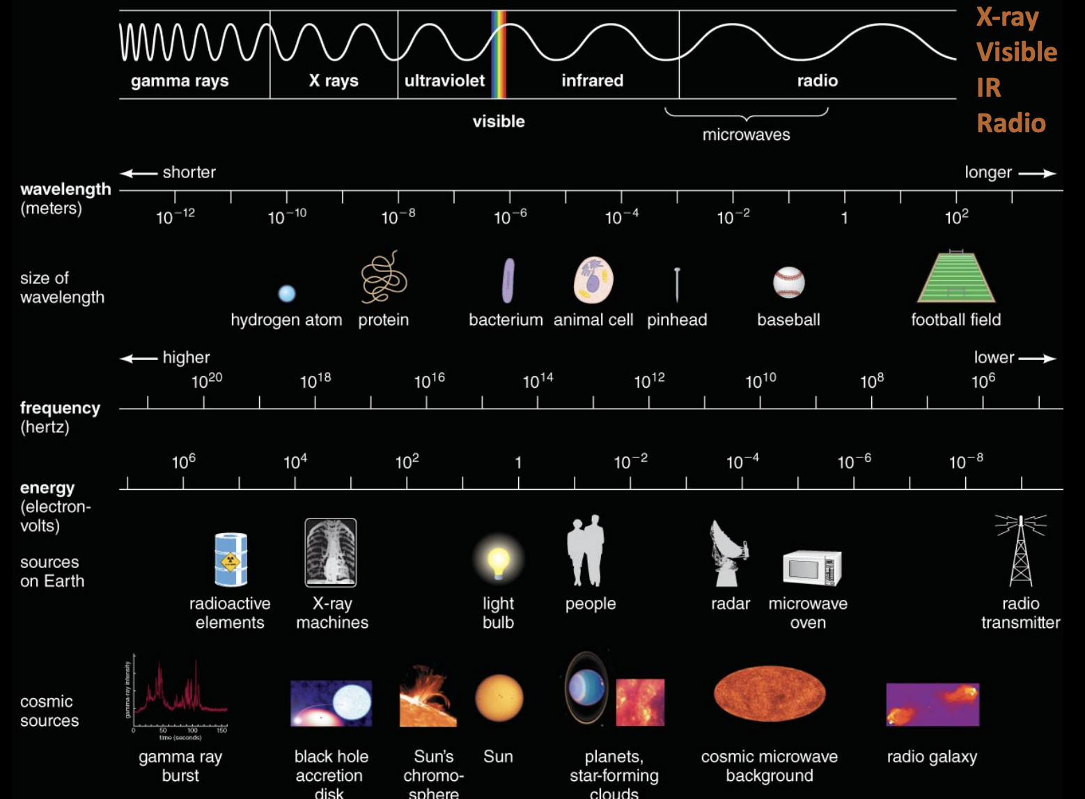 <p><span>Gamma Ray→ X-ray → Ultra Violet → Visible → Infrared (IR) → Radio</span></p>