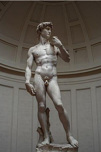<p>The David</p>