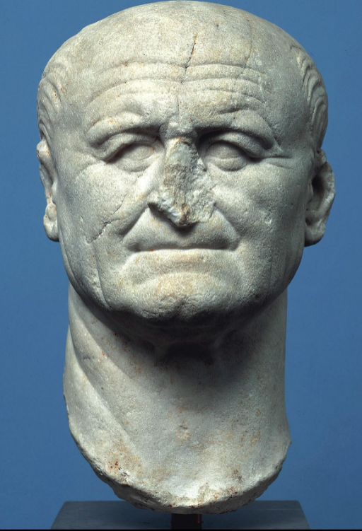 <p>Portrait of Vespasian</p>