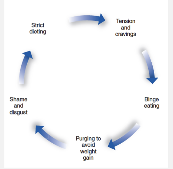 <p><span>Purging is followed by disgust and self-recrimination, which prompts renewed vows of abstinence and sets the stage for the whole cycle of dieting, overeating, dietary failure, and affective distress to begin again</span></p><p>&nbsp;</p>