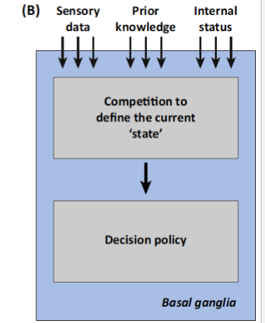 <p>Attention is the result of your brain making a decision</p><ul><li><p><span><strong>The Mechanism:</strong> Your brain is always running a "competition" between different possibilities based on:</span></p><ul><li><p><span><strong>Value:</strong> What is most rewarding?</span></p></li><li><p><span><strong>Needs:</strong> Am I hungry?</span></p></li><li><p><span><strong>External World:</strong> Is that a loud noise?</span></p></li><li><p><span>Prior knowledge</span></p></li></ul></li><li><p><span><strong>The Winning Signal:</strong> Whichever goal or stimulus "wins" the competition in your motor and value circuits becomes what you are "attending" to.</span></p></li></ul><p></p>