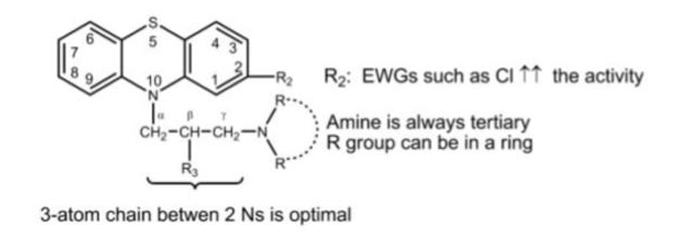 <p>At position 2 of phenothiazines, addition of an electron-withdrawing group (EWG) results in ________ </p><p>a. Decreased activity</p><p>b. Increased activity</p><p>c. No change</p><p>d. Increased toxicity only</p>