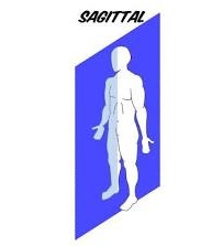 <p>Wat is een andere naam voor het <strong><mark data-color="blue" style="background-color: blue; color: inherit;">saggitale</mark></strong>vlak?</p>