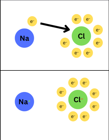 <p>ionic bonds</p>