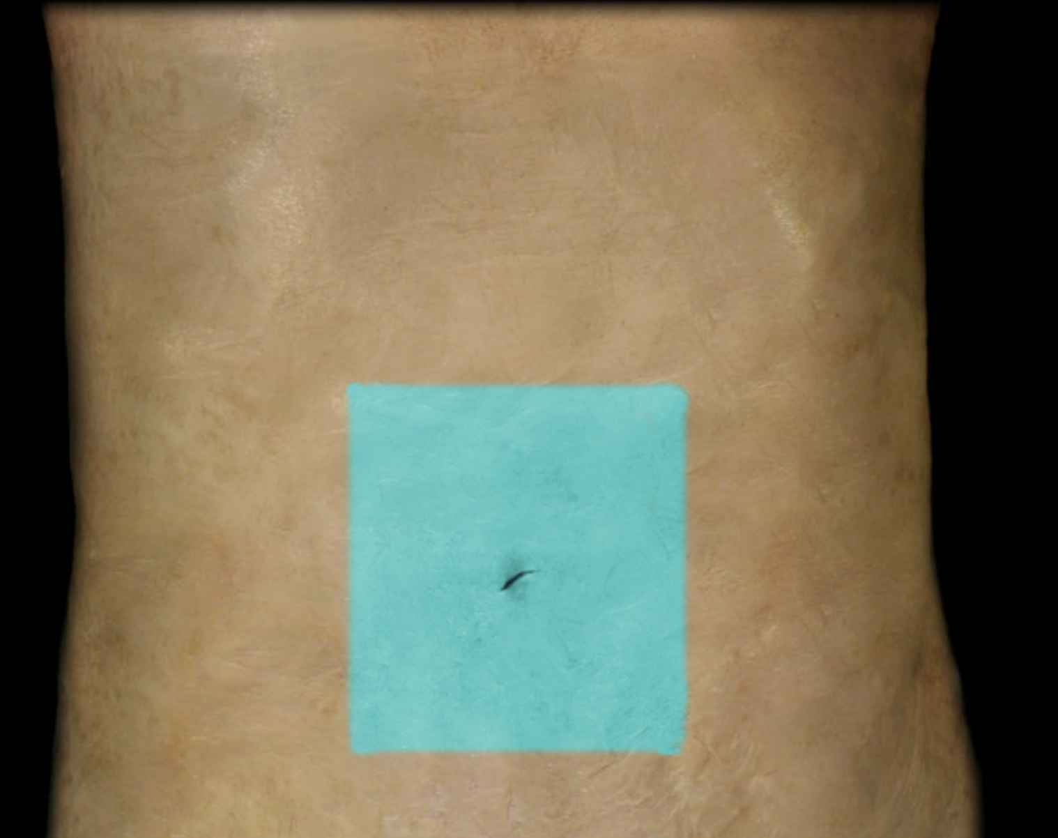 term image