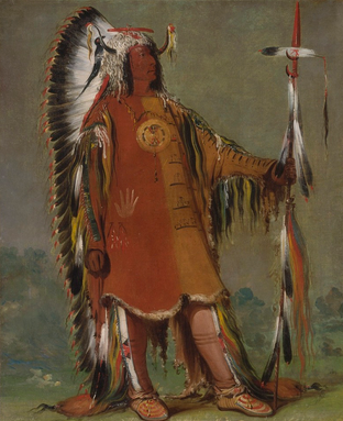 <p>Mah-to-toh-pa, Four Bears, Second Chief, in Full Dress</p>