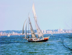 <p>(v) /seɪl/ - chạy, giăng buồm (trên sông/biển). Ex: Boats sail on rivers and across the sea. (Thuyền chạy trên sông và biển.)</p>