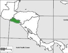 <p>El Salvador</p>
