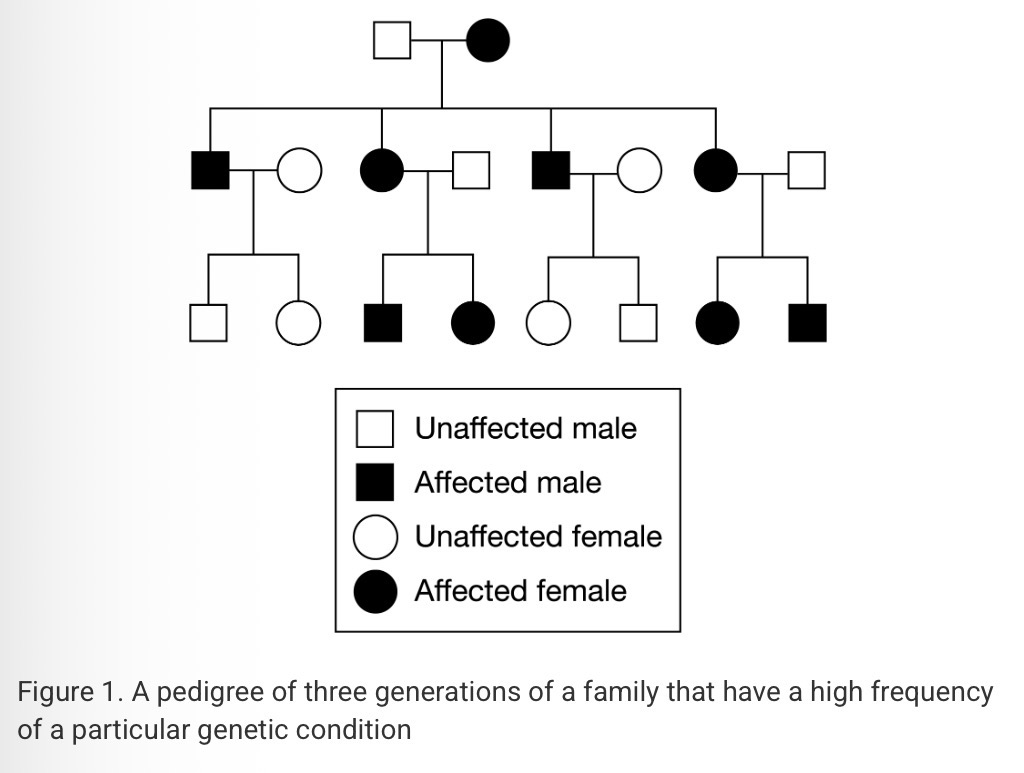 <p><span>Figure 1 shows the inheritance of a particular genetic condition in three generations of one family. Which of the following best explains the observed pattern of inheritance?</span></p>