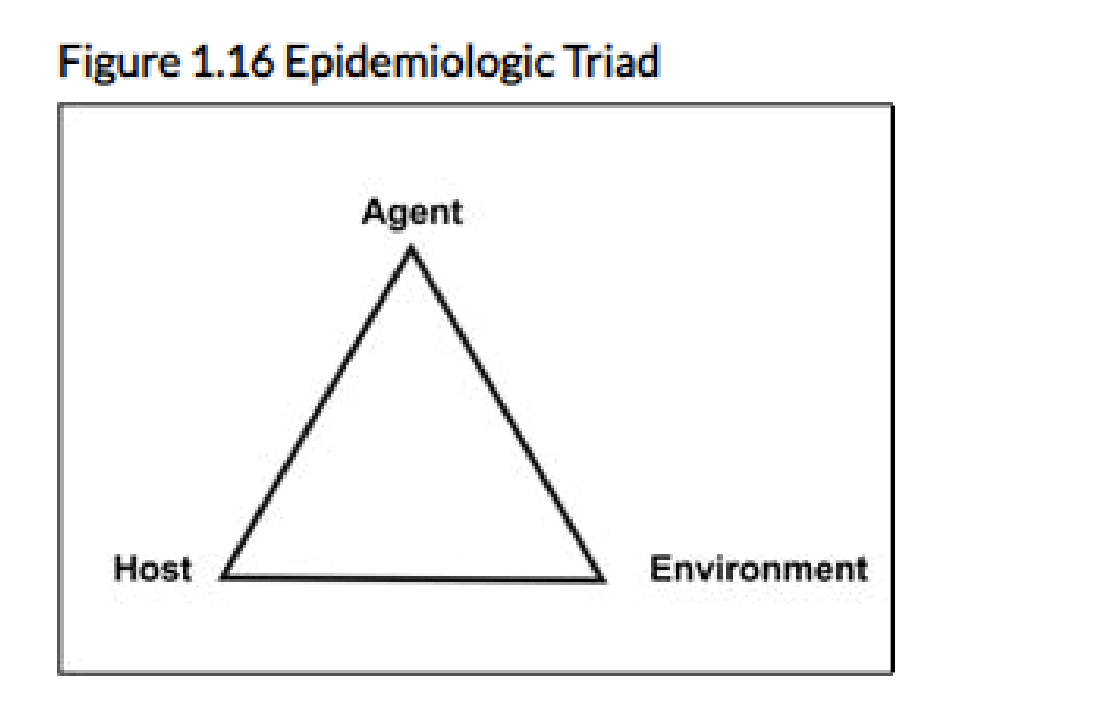 <ul><li><p>Agent: the chemical a person is exposed too </p></li><li><p>Environment: The contaminated environment that contains the chemical</p></li><li><p>Host: The person exposed to the chemical</p></li></ul><p></p>