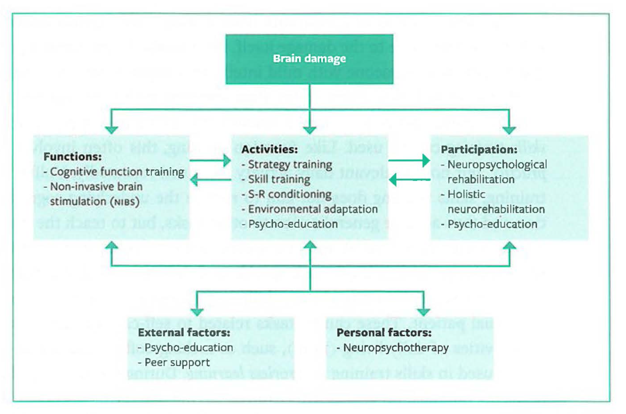 <ol type="1"><li><p><strong>Experience-dependent recovery</strong> (dependent learning): promoting plasticity through learning</p><ul><li><p>Taxi drivers: large neurological changes in areas associated with spatial memory (compared to bus drivers);</p></li><li><p>neurons that fire together wire together,</p></li><li><p>use it or lose it: brain area is not stimulated -> further decline, not stimuating potential reorganisation.</p></li><li><p>specificity is key</p></li><li><p>information that is salient/refers to self is retained better,</p></li><li><p>repetition/intensity/time matters</p></li><li><p>Age matters (more neuroplasticity, sometimes better, outdated <em>Kennard principle</em>); sometimes worse to have a brain injury while still young, when older you are helped by habits.</p></li><li><p>Cognitive deficits only become visible when more complex cognitive skills are needed -> <em>growing into deficits</em> (memory problems at 5 years old, not noticeable because less demands and more help, as you grow the problem is noticed since life becomes more complex).</p></li></ul></li></ol><p>picture: ICF model (International Classification of Functioning, Disability and Health)</p><p>Function recovery (treating the source of the problem, neural plasticity) vs. functional recovery (behavioural compensation; making the process work despite the problem, compensating).</p><p></p>