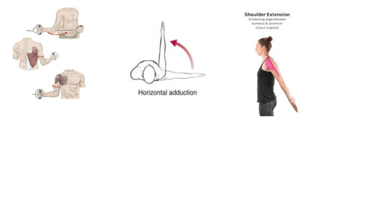 <p>medial rotation, shoulder adduction, extension of the shoulder</p>