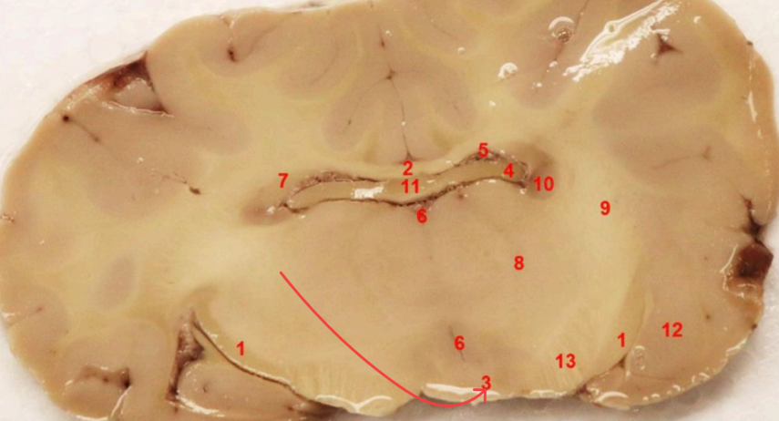 <p>what area is this</p>