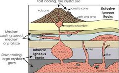 <p>formed within the Earth's crust; synonym: plutonic</p>