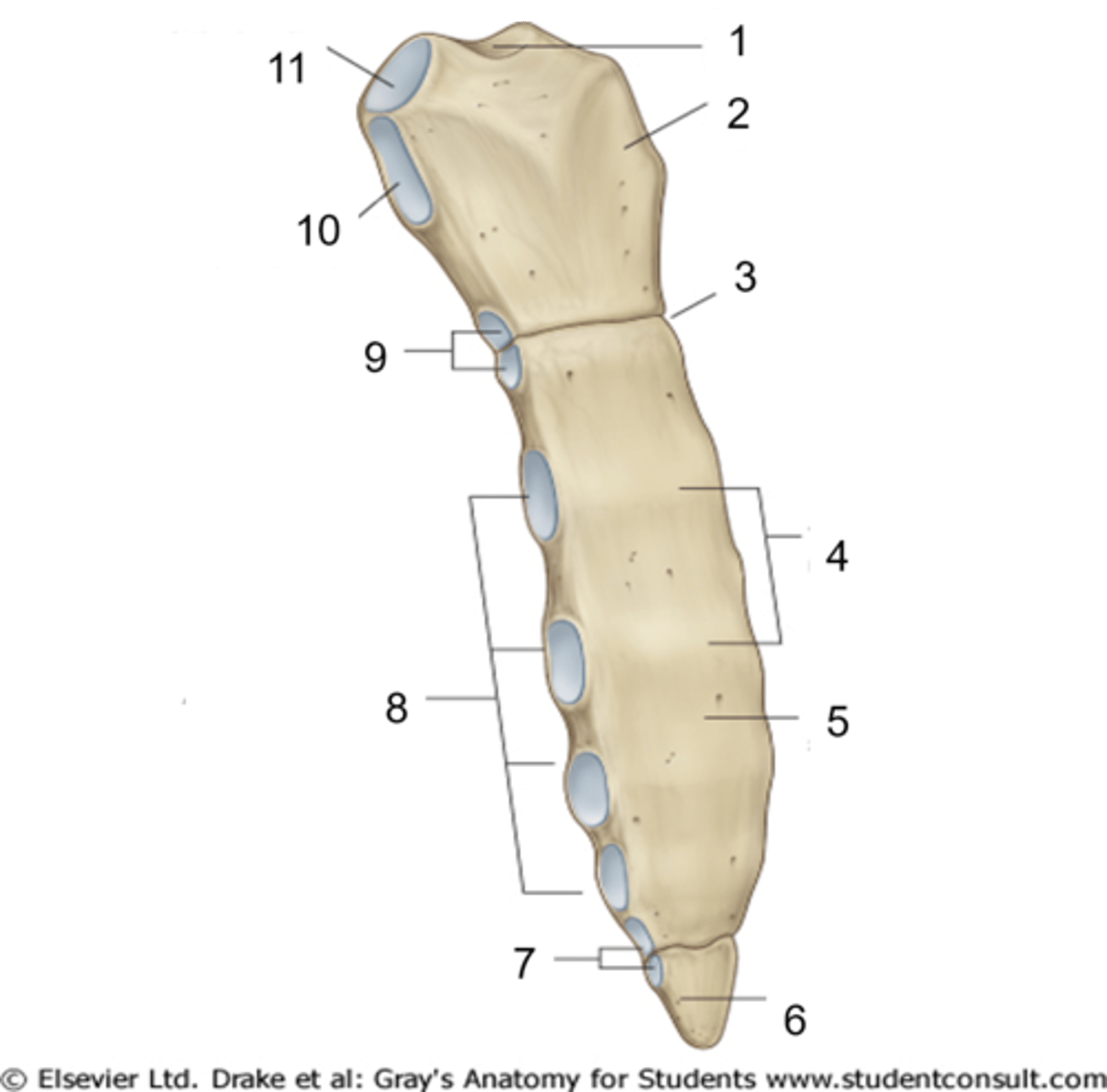<p>10</p>