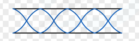 <p>Note: Each image shows one ‘L’</p>