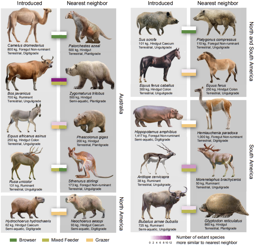 <p>What did figure 3 describe?</p>