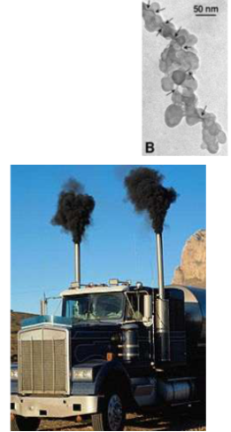 <p>1. Wat is het en hoe ontstaat het? (Definities)</p><ul><li><p><strong>Onvolledige verbranding:</strong> Roet ontstaat wanneer brandstoffen (zoals diesel of hout) niet volledig verbranden. Dit gebeurt wanneer de <strong>zuurstof-koolstofverhouding </strong><span><strong>< 1</strong></span> is; er is met andere woorden te weinig zuurstof in de motor om alle koolstof netjes te verbranden tot het gas <span>CO2</span>.</p></li><li><p><strong>De structuur:</strong> Het zijn "verkoolde", onzuivere deeltjes. De structuur lijkt wel een beetje op grafiet (de vulling van een potlood), maar het is een rommelig mengsel van elementair koolstof en organische stoffen.</p></li><li><p><strong>Verschillende namen:</strong> Dat er "meer dan 15 analytische methoden" zijn, verklaart waarom deze termen door elkaar worden gebruikt. Als je het meet met een lichtstraal (kijken hoe donker het wordt) noem je het vaak <em>Black Carbon</em>, als je het chemisch/thermisch analyseert noem je het <em>Elemental Carbon</em>.</p></li></ul><p></p><p>2. Waarom is het zo gevaarlijk? (De Urban Health link)</p><ul><li><p><strong>Het bevat veel PAK's:</strong> Dit is de belangrijkste link met je eerdere dia's over biotransformatie. Roetdeeltjes werken als de ultieme "giftige spons" (adsorptie). Er kleven enorme hoeveelheden <strong>PAK's</strong> aan het oppervlak.</p></li><li><p><strong>Minuscule afmetingen (</strong><span><strong>PM2.5</strong></span><strong> en </strong><span><strong>PM0.1</strong></span><strong>):</strong> Roetdeeltjes zijn extreem klein. De microscoopfoto rechtsboven (TEM-afbeelding) laat zien hoe de allerkleinste losse roetbolletjes (ultrafijnstof, <span>PM0.1</span>) als een soort ketting aan elkaar klonteren.</p></li></ul><p></p>