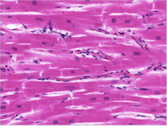 <p>Identify</p>