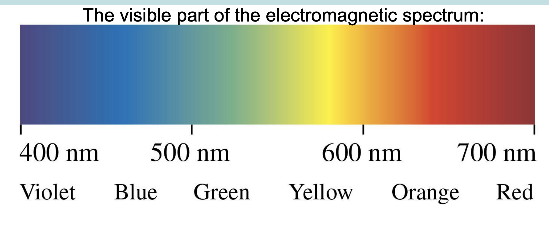 <p>-A hot, self-luminous object, such as the filament of an incandescent lightbulb, forms a rainbow-like continuous spectrum in which light is emitted at every possible wavelength</p><ul><li><p>no gaps/no missing wavelengths (see all parts of spectrum)</p></li></ul><p>-ex: lightbulbs, white lights</p><p></p>