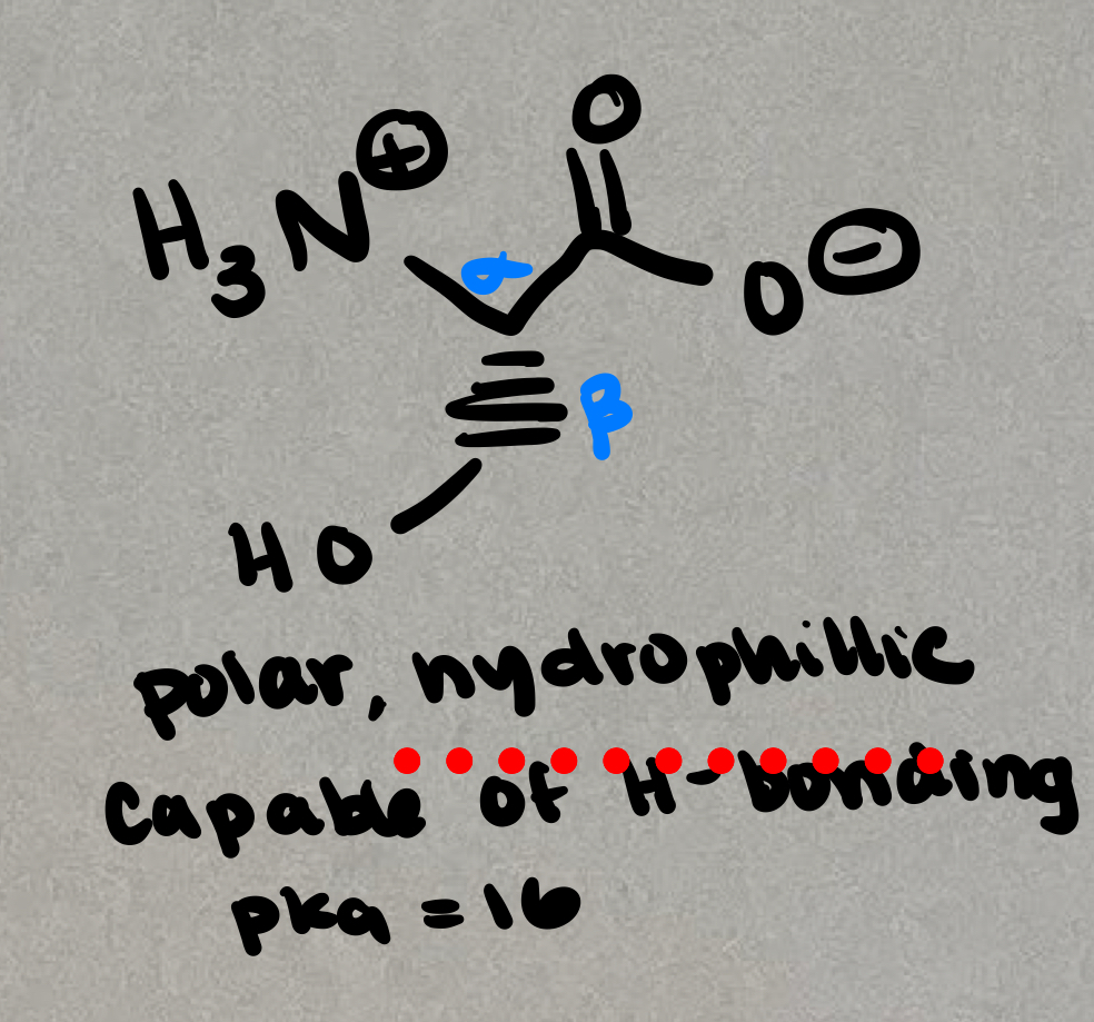 <p>Neutral but polar</p>