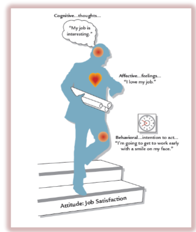 <ul><li><p>how do you feel and think about job </p></li><li><p>job satisfaction - correlated with productivity and work </p></li></ul><p></p>