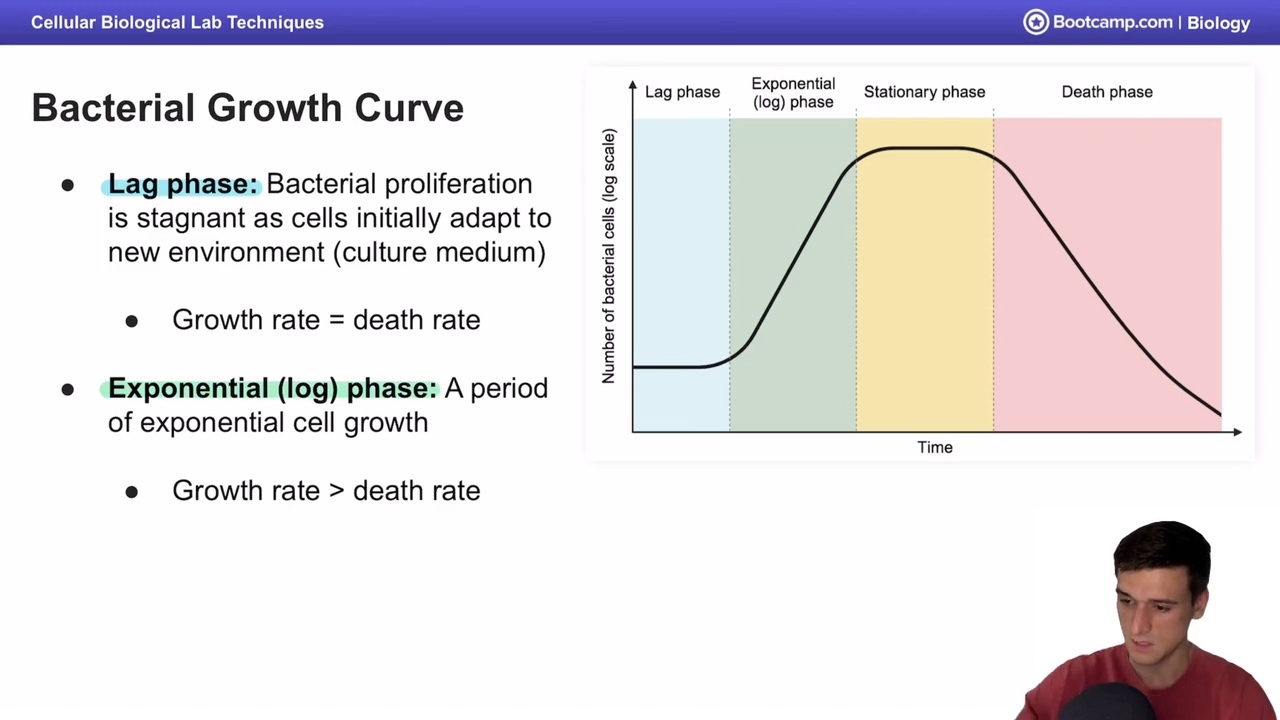 <p>bacterial proliferation is stagnant, cells initially are adapting to the medium </p><p></p><p>Growth rate = death rate </p>