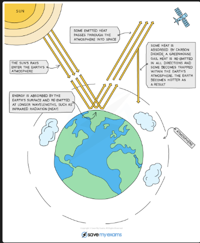 <p>Global warming caused by increased concentration of greenhouse gases (mainly CO₂ and methane) in the atmosphere trapping heat [DRAW: sun rays hitting Earth → some infrared reflected back → greenhouse gases trap infrared → Earth warms]</p>