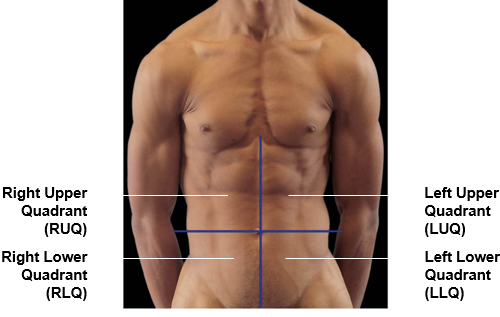 <p><strong>RUQ = Right Upper Quadrant</strong></p><p><strong>LUQ = Left Upper Quadrant</strong></p><p><strong>RLQ = Right Lower Quadrant</strong></p><p><strong>LLQ = Left Lower Quadrant</strong></p>