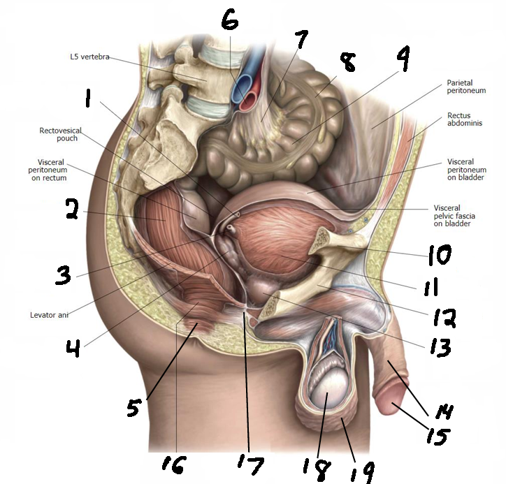 <p>5</p>