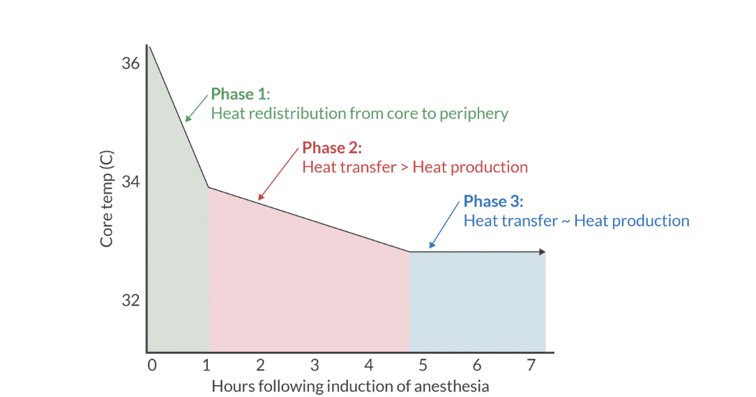 <p>heat loss ot evnrioenemnt exessed heat production</p>