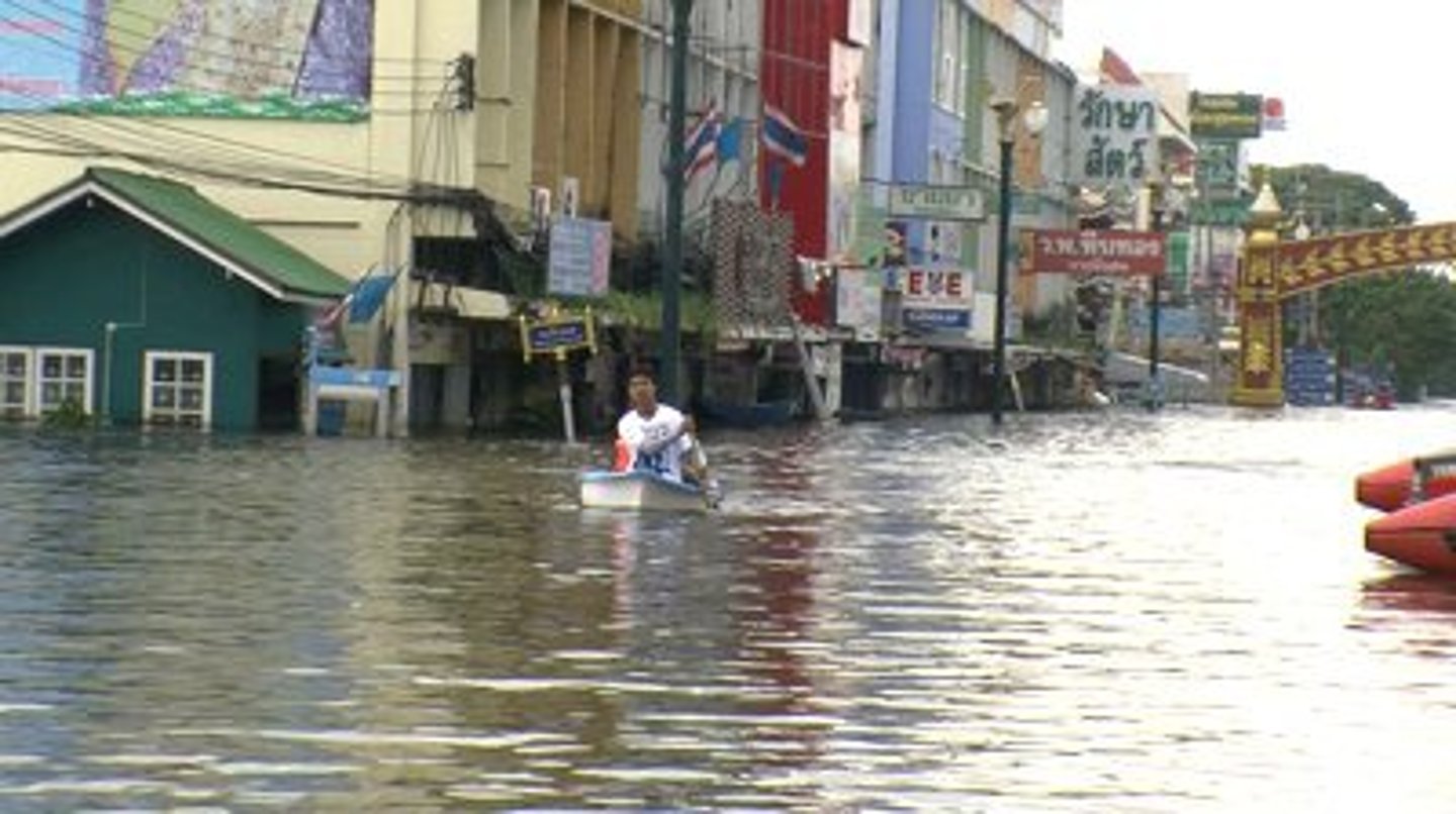 <p>(n) flood</p>