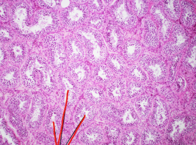 <p>what is this </p>